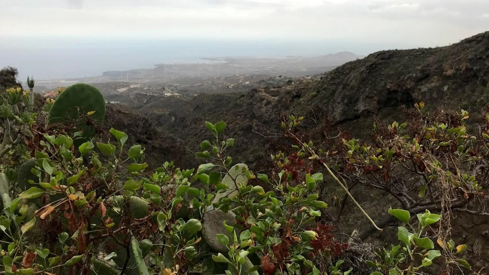 Finca Las Polinarias Casa Cueva En Fasnia Santa Cruz de Tenerife 0*,  España