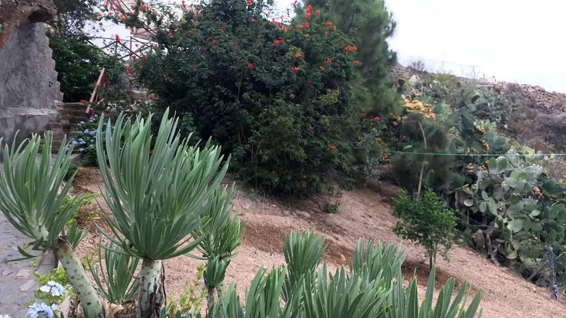 Finca Las Polinarias Casa Cueva En Fasnia Santa Cruz de Tenerife Сasa de vacaciones