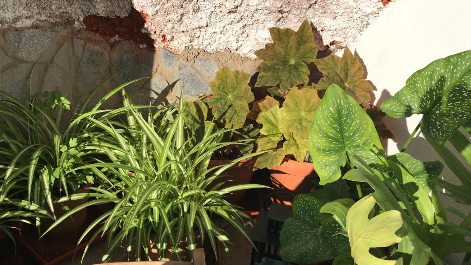 Сasa de vacaciones Finca Las Polinarias Casa Cueva En Fasnia Santa Cruz de Tenerife