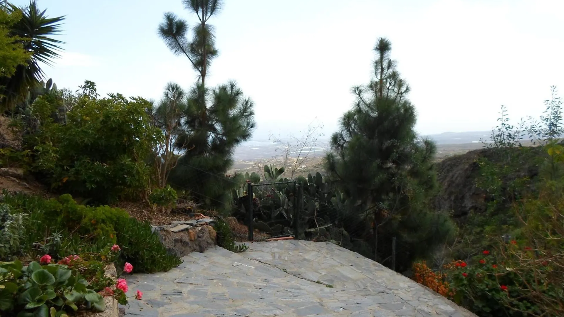 Finca Las Polinarias Casa Cueva En Fasnia Santa Cruz de Tenerife